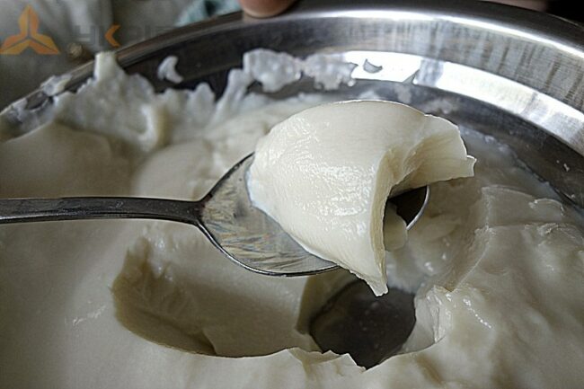 Wonderful milk curd made by 　vacuum homogenizer machine　